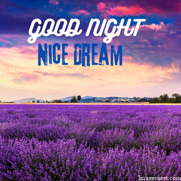 nice dream good night pic