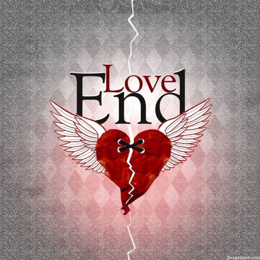 end love dp