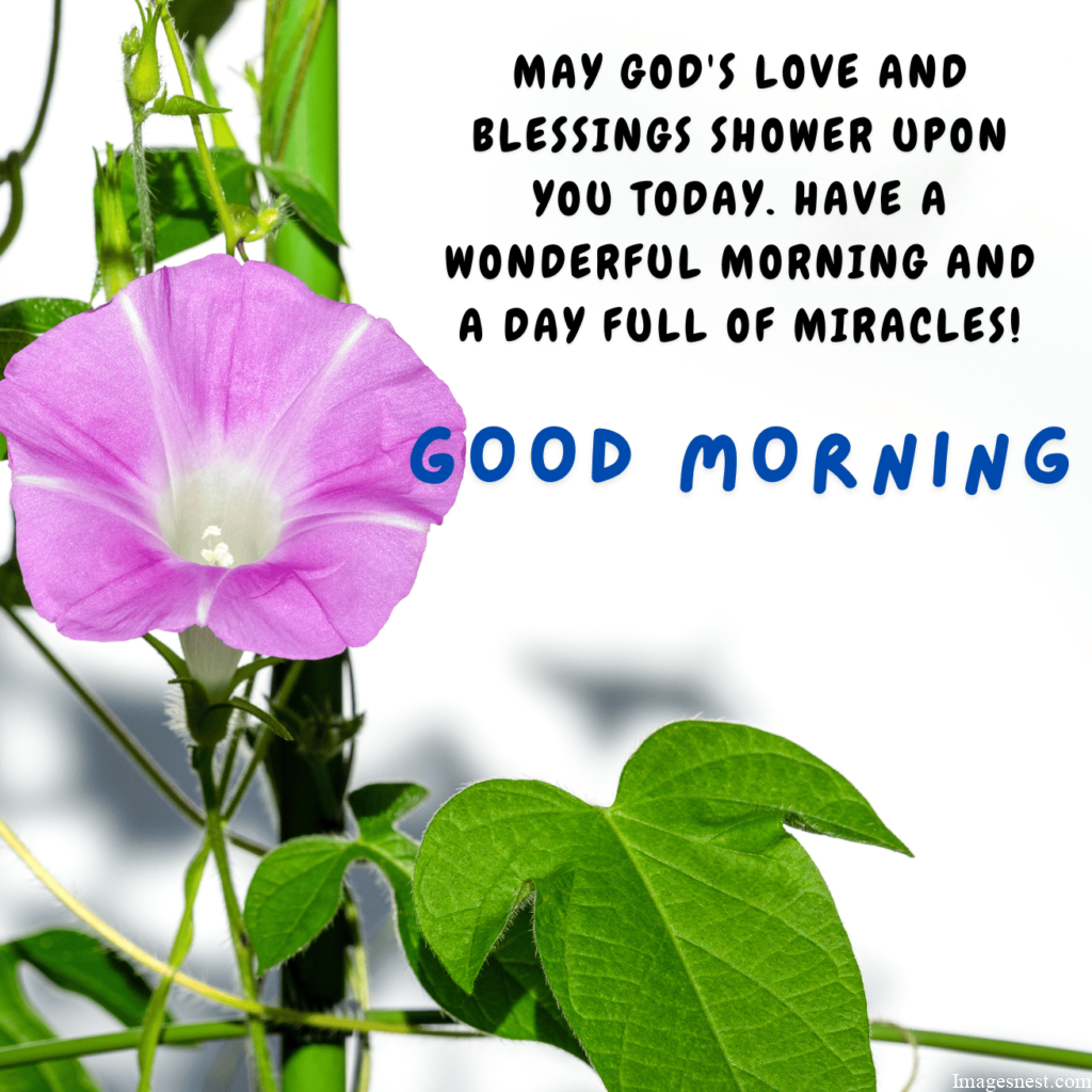 Good Morning Blessing