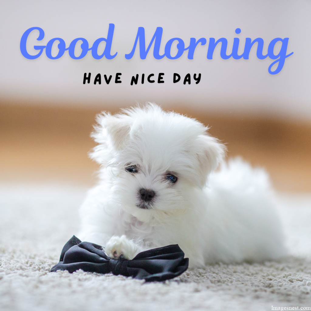 Good Morning Puppy Images