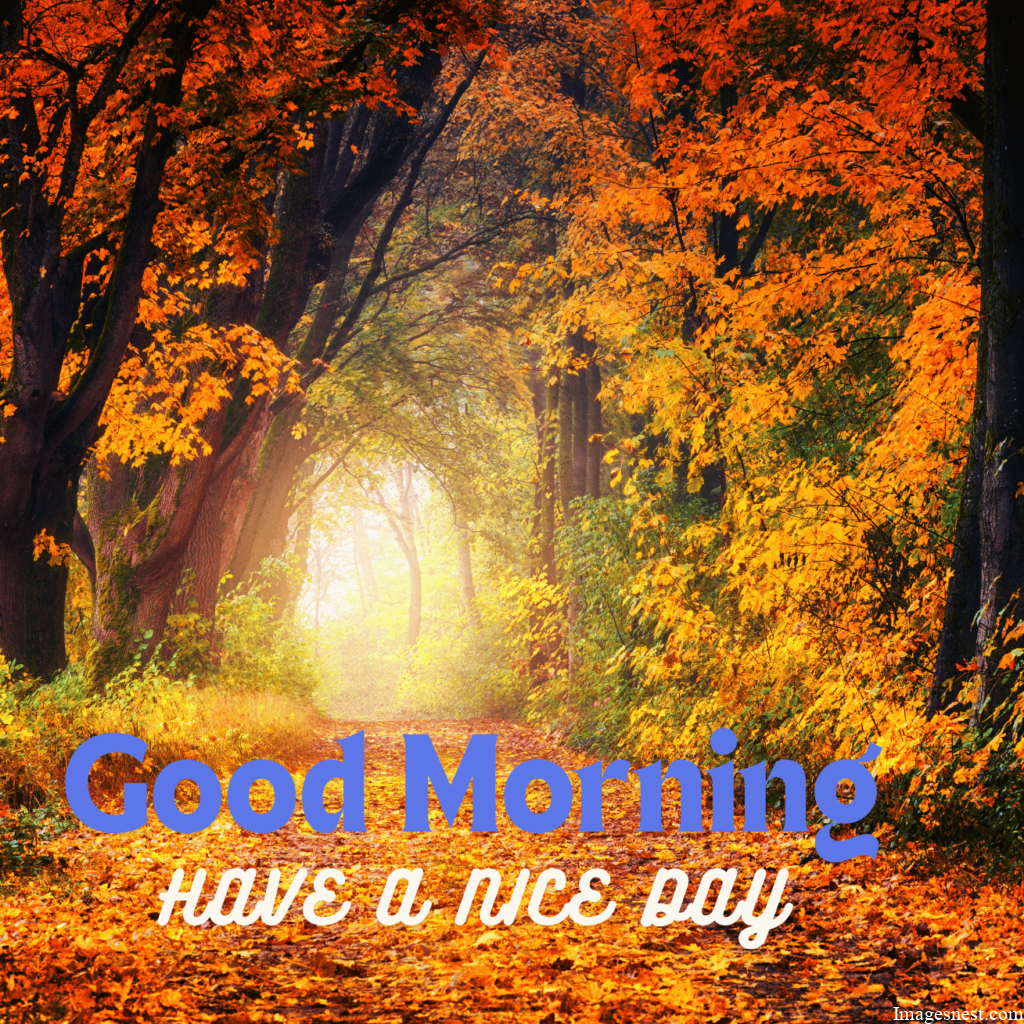 Aesthetic Good Morning Fall Images HD