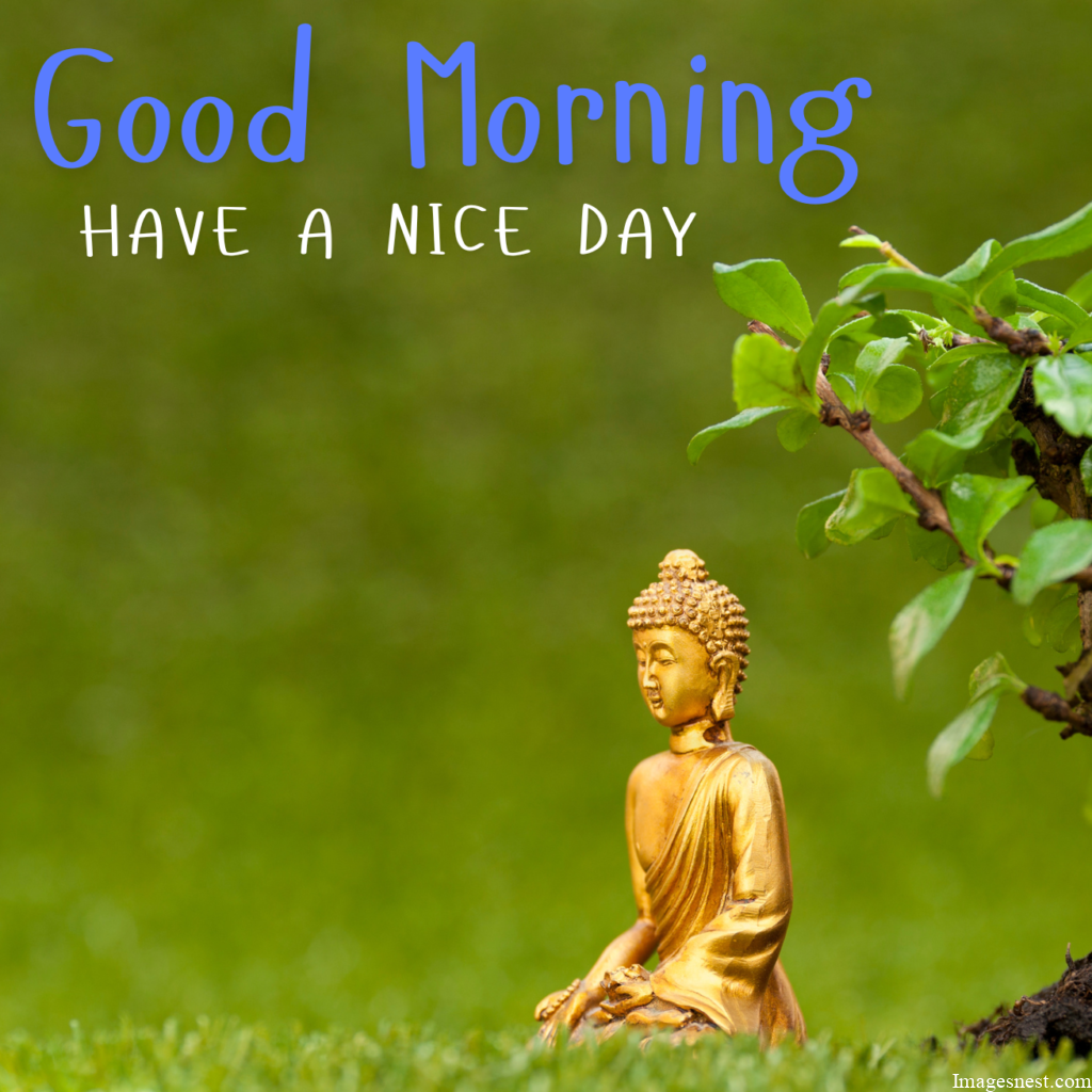 Good Morning Buddha Pics