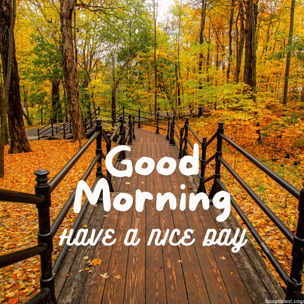 Fresh Good Morning Fall Images HD Download