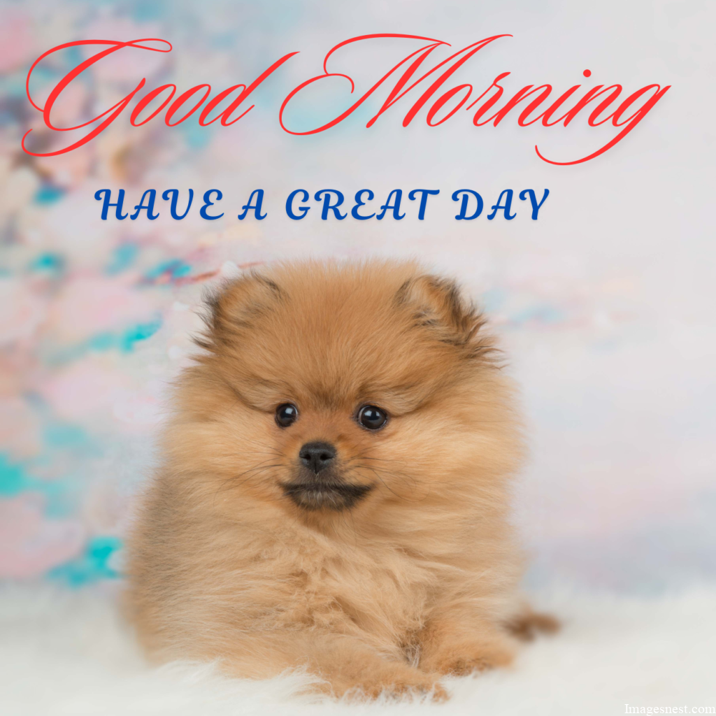 aesthetic Good Morning Puppy Images