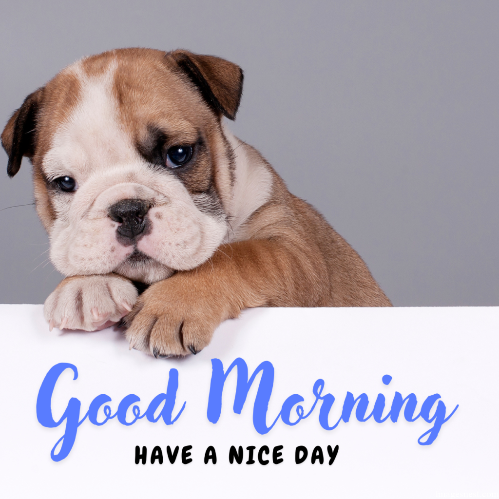 badass Good Morning Puppy Images