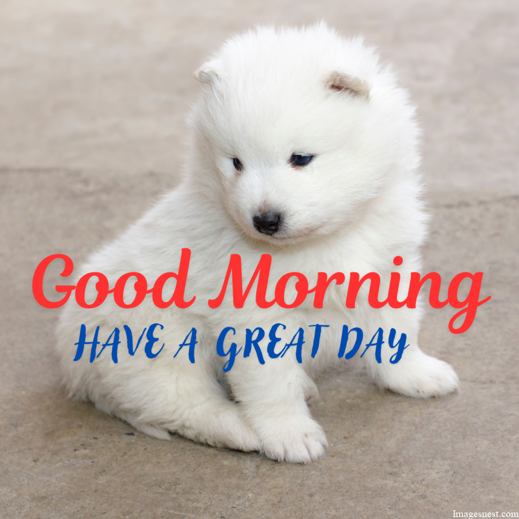 cute and catchy Good Morning Puppy Images