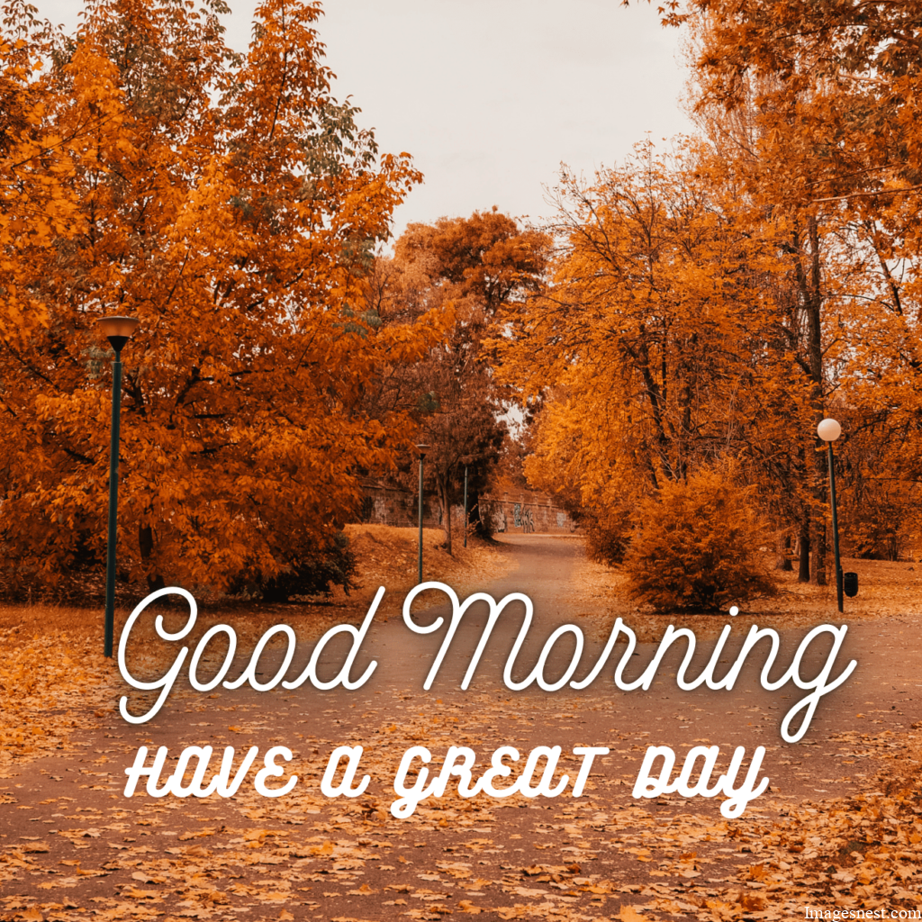 Romantic And Aesthetic Good Morning Fall Images