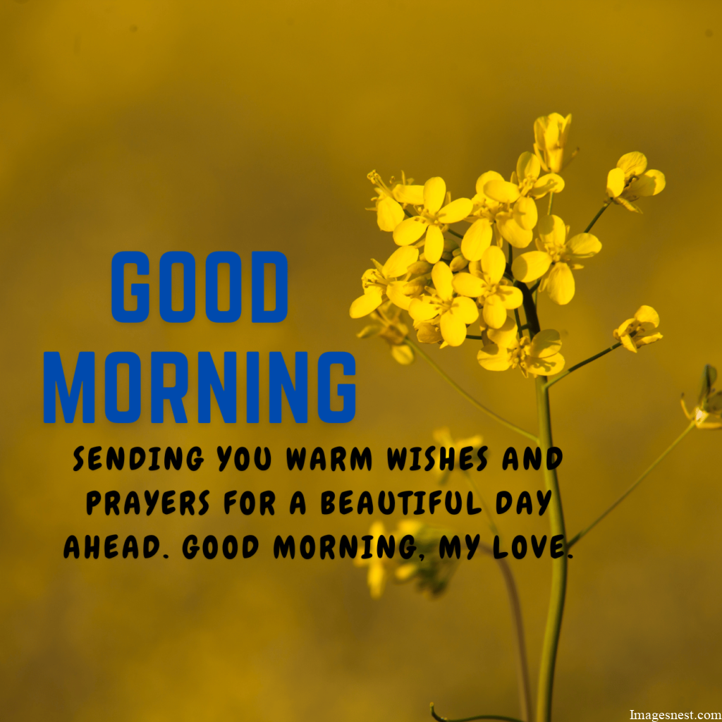 cool Good Morning Blessing Images