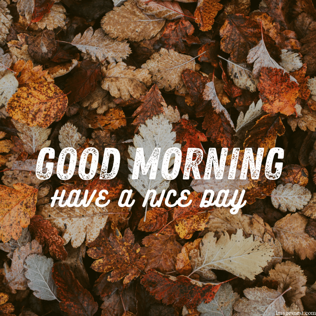 cool Good Morning Fall Images