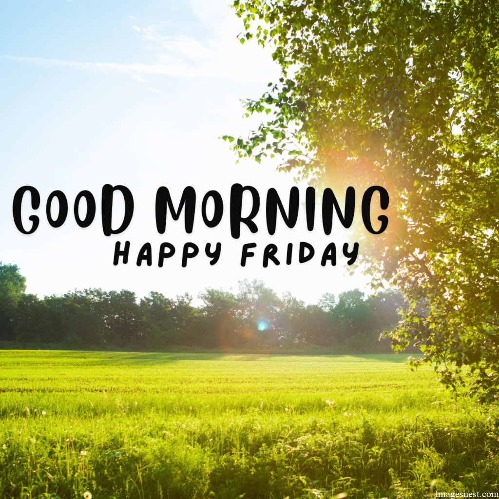 HD Good Morning Friday Images