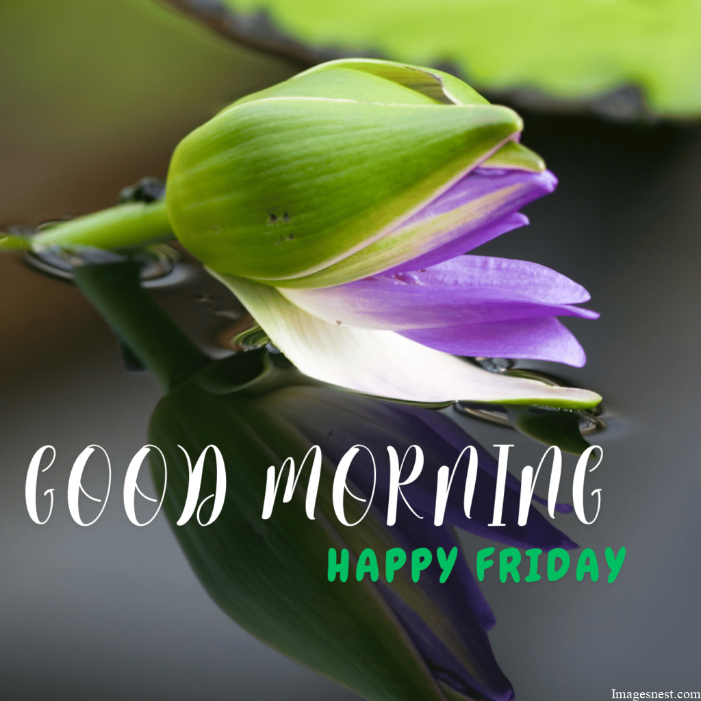 HD Download Good Morning Friday Images