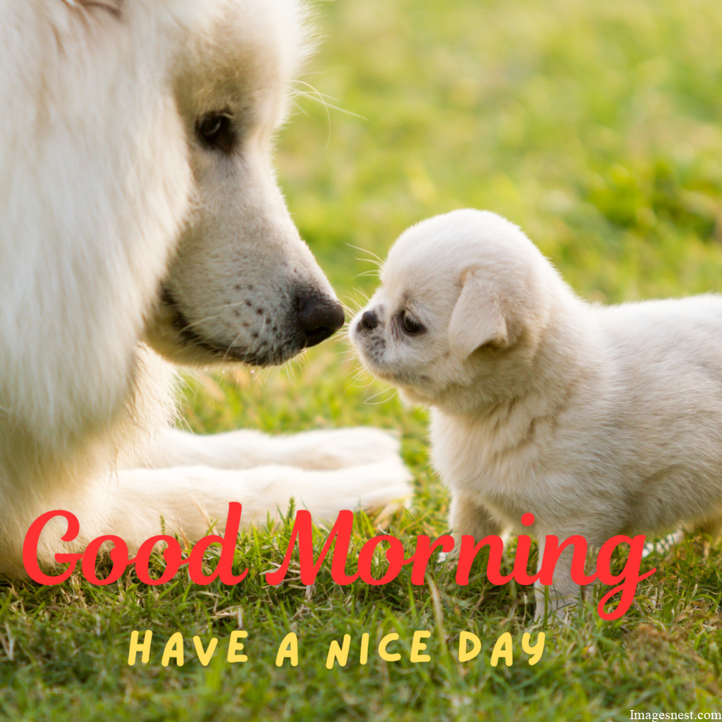 Good Morning Puppy with mother Images