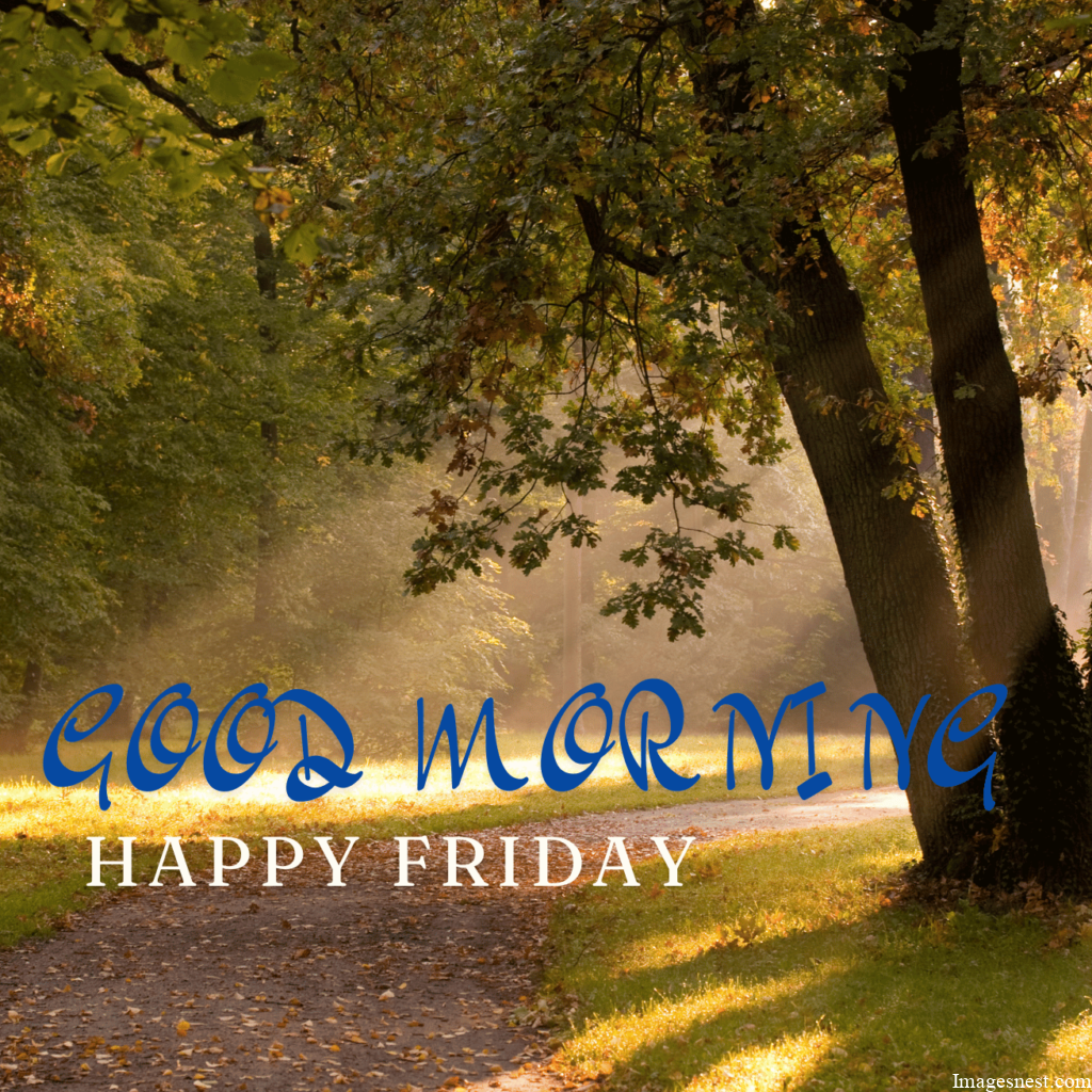 cute Good Morning Friday Images Download