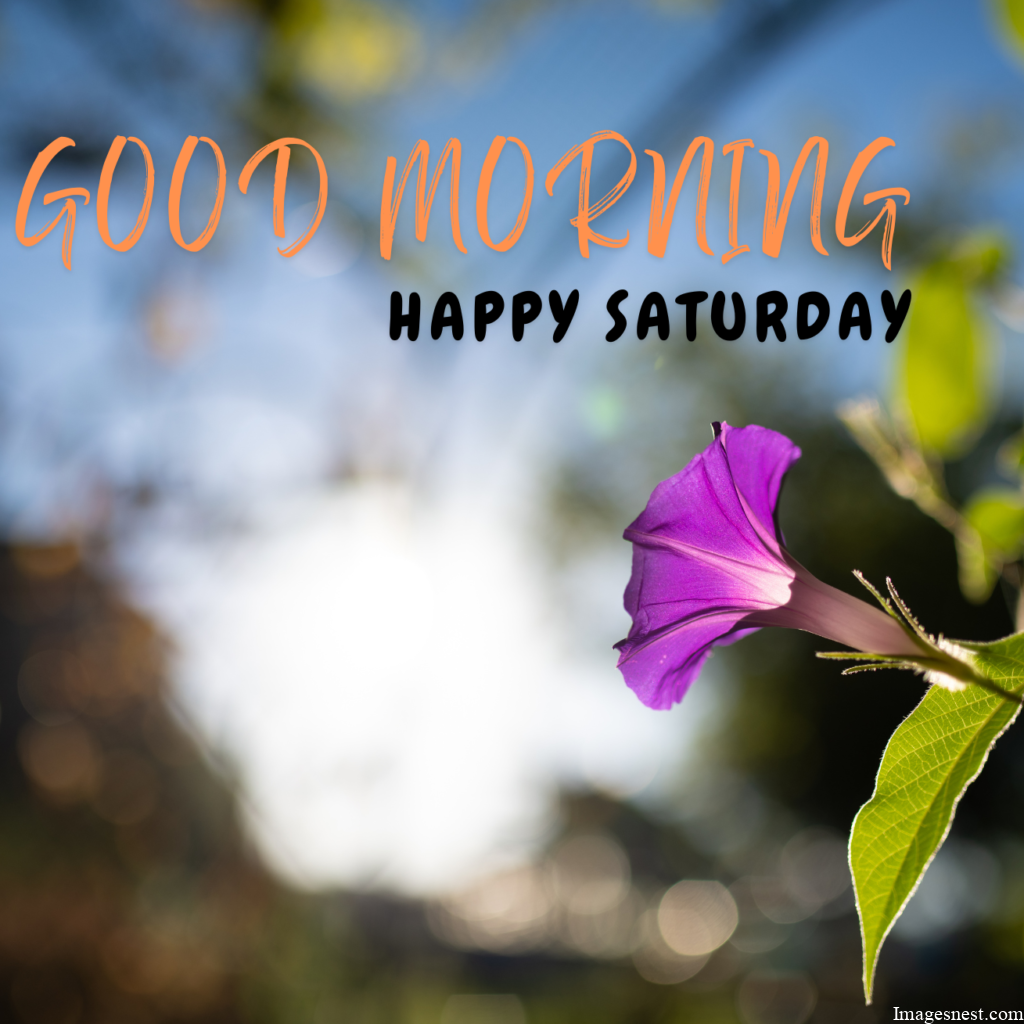 new HD Download Good Morning Saturday Images