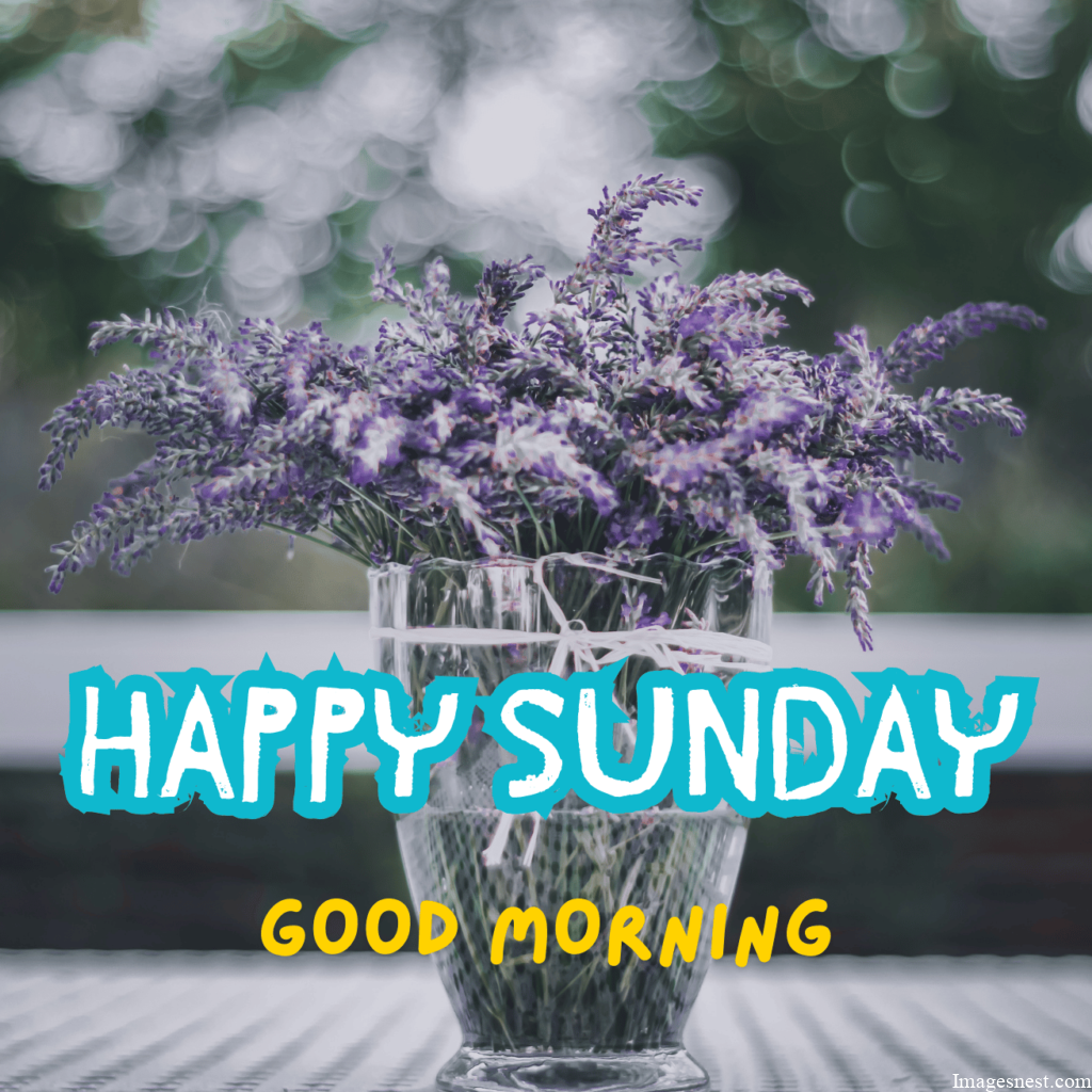 Full HD Good Morning Happy Sunday Images Download 