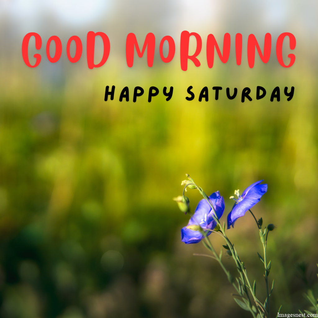 Good Morning Saturday Images download