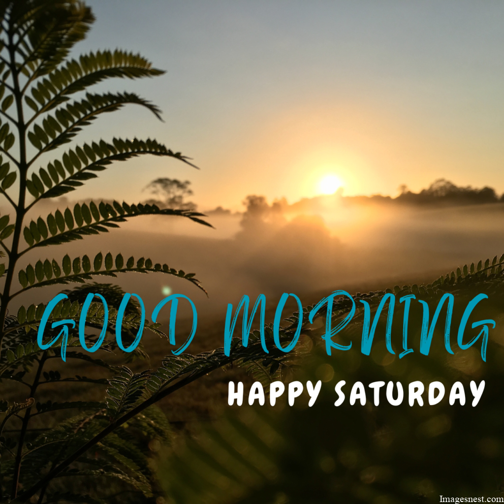 Full HD Good Morning Saturday Images