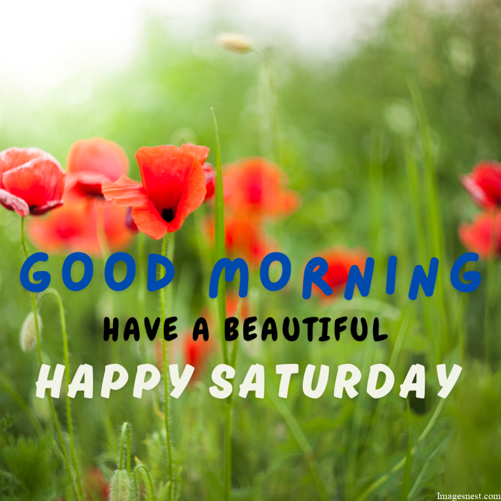 HD Good Morning Saturday Images