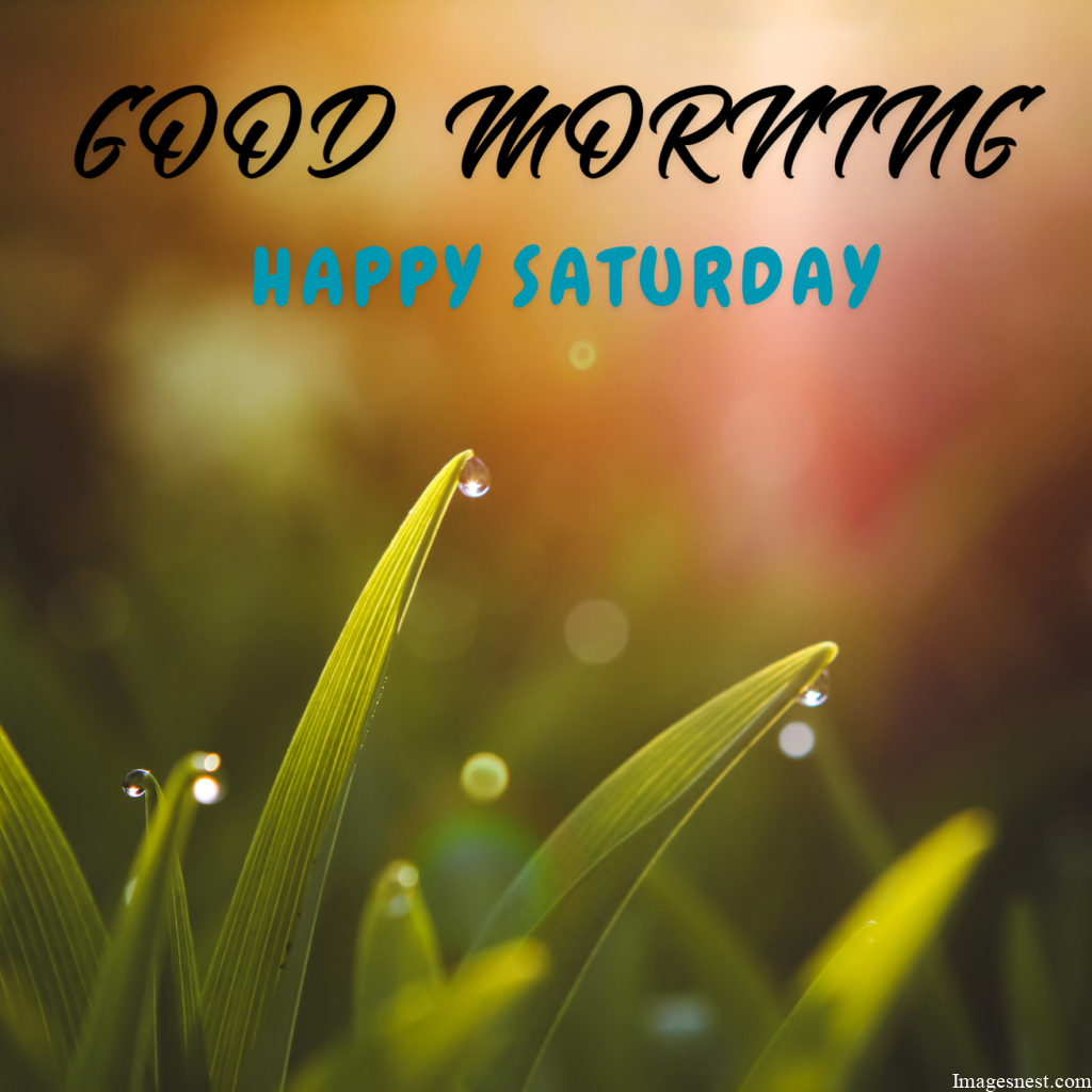 New HD Good Morning Saturday Images